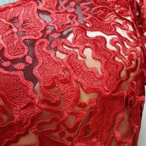 Rochie din dantela rosie